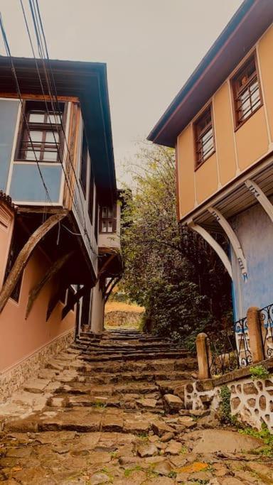 Elephant House Plovdiv Luaran gambar